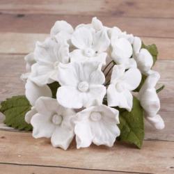 Hydrangeas and Leaves Bunches  of 10 - White