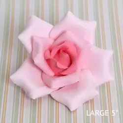 Giant Pink Rose