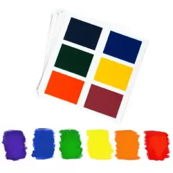 PYO Paint Palettes - Rainbow - 1 Pouch/12 Palettes by The Cookie Countess